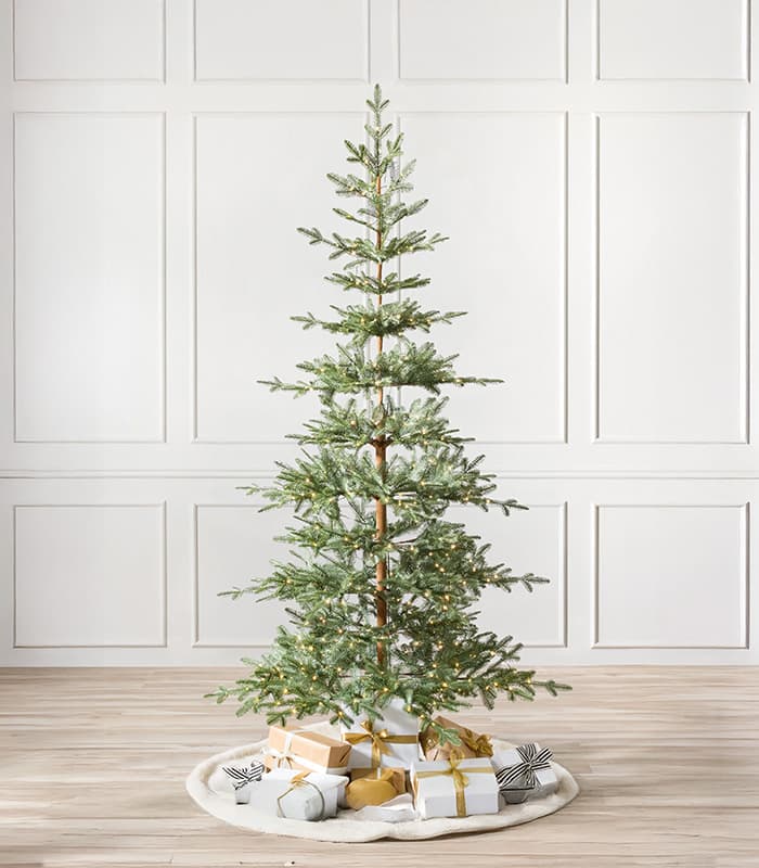 alpine-balsam-fir-trees.jpeg Alpine Balsam Fir Trees – Image 1